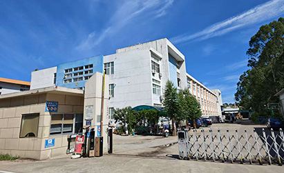Company Building