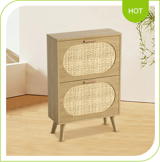 Shoe Cabinet