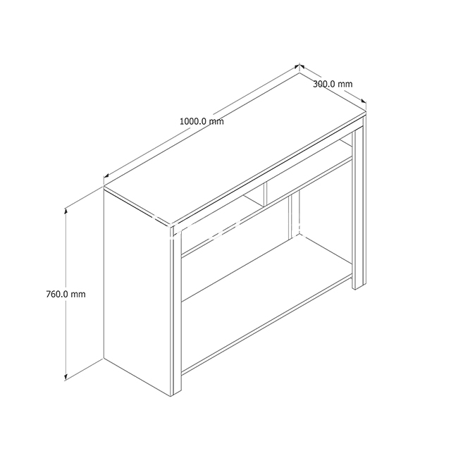 Modern 2 Drawers Living Room Entryway Console Table
